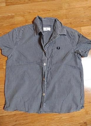 Рубашка Scarf perry р  s-m