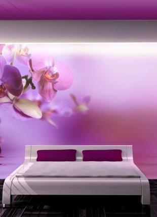 Фотошпалери "фіолетові орхідеї" - будь-який розмір! читаємо опис!