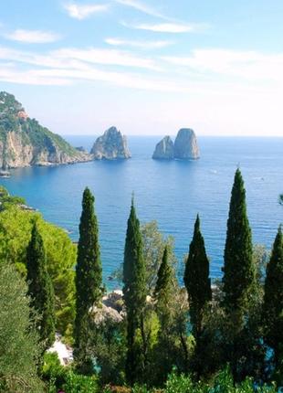 Фотошпалери "кипариси на морі" - будь-який розмір! читаємо опис!