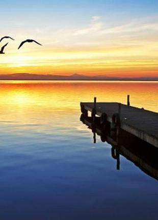 Фотошпалери "чайки на морі" - будь-який розмір! читаємо опис!