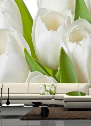 Фото шпалери "білі тюльпани" - будь-який розмір! читаємо опис!