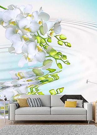 Фотошпалери "гілка білої орхідеї" - будь-який розмір! читаємо опис!