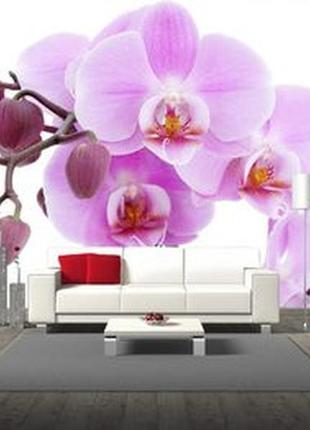 Фотошпалери "з малиновою гілкою орхідеї" - будь-який розмір! читаємо опис!