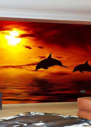 Фото обои "пара дельфинов на оранжевом закате" - любой размер! читаем описание!