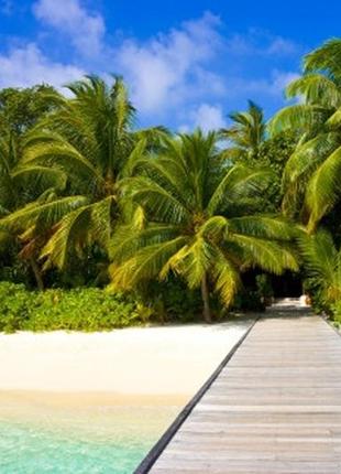 Фотошпалери "доріжка в джунглі" - будь-який розмір! читаємо опис!