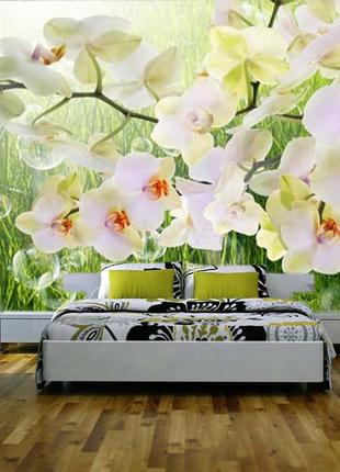 Фотошпалери "орхідеї на травичці" - будь-який розмір! читаємо опис!