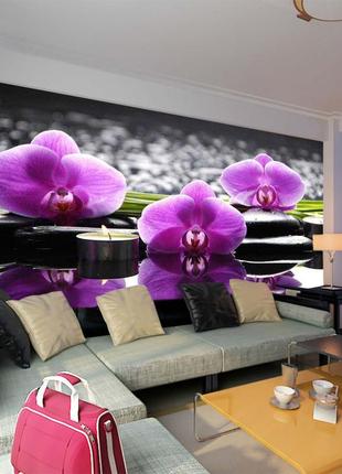 Фото обои "цветы орхидей 1" - любой размер! читаем описание!