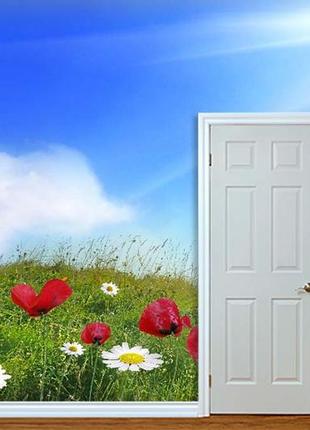 Фото шпалери "ромашки з маками" - будь-який розмір! читаємо опис!