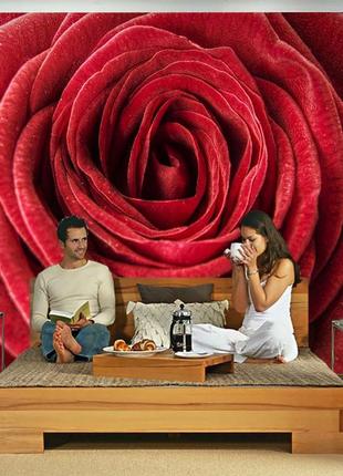 3d фото шпалери "оксамитова червона троянда" - будь-який розмір! читаємо опис!