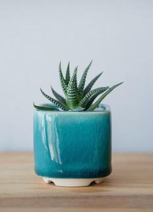 Бирюзовый керамический горшок для кактусов, суккулентов, размер м3 фото