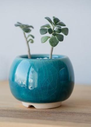 Бирюзовый керамический горшок для кактусов, суккулентов, размер м2 фото