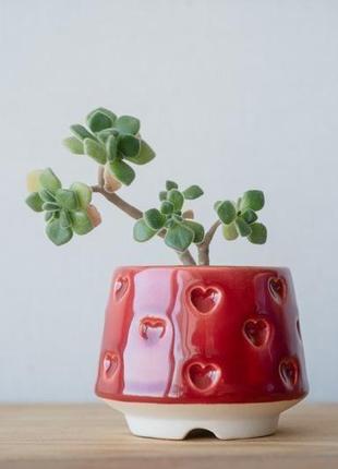 Червоний керамічний горщик для кактусів, сукулентів, колекція серця4 фото
