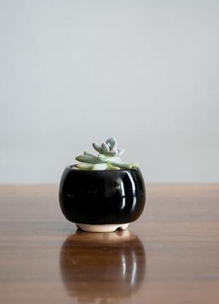 Черный керамический горшок для кактусов, суккулентов, размер м3 фото
