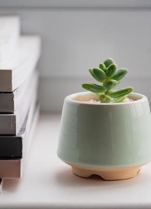 Мятный керамический горшок для кактусов, суккулентов, размер м4 фото
