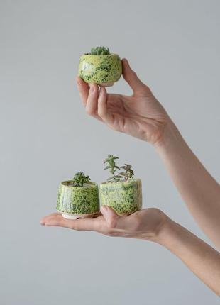 Керамический горшок для кактусов, суккулентов, размер м, песто5 фото