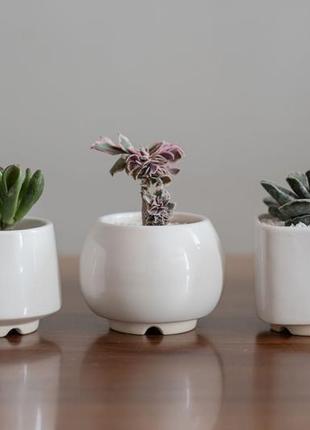 Набор керамических горшков mini plant  маленького размера 6,2-6,5 см белый 3 шт1 фото