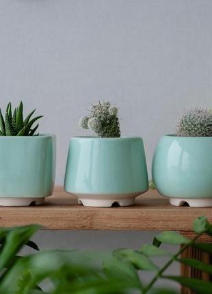 Керамічний горщик для кактусів 6,4х6,5см квадратний м'ятний