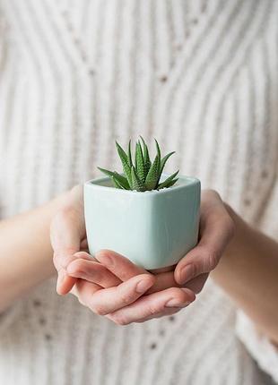 Керамічний горщик для кактусів 6,4х6,5см квадратний м'ятний