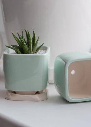 Керамічний горщик для кактусів 6,4х6,5см квадратний м'ятний