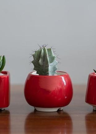Керамический горшок для кактусов 6,4х6,5см квадратный красный4 фото