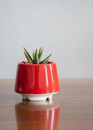 Набор керамических горшков mini plant маленького размера 6,2-6,5 см красный 3 шт4 фото