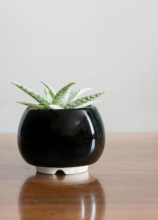 Набор керамических горшков mini plant маленького размера 6,2-6,5 см черный 3 шт4 фото