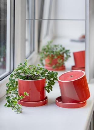 Керамический горшок для растений mini plant  9х11,5см цилиндр коралловый2 фото