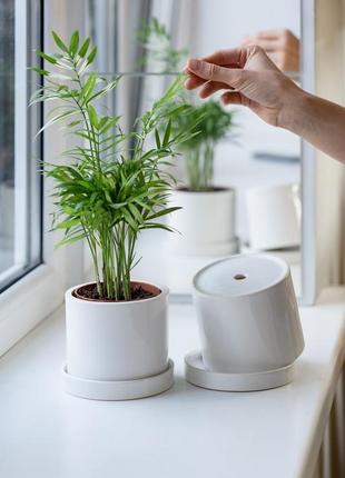 Керамический горшок для растений mini plant  9х11,5см цилиндр белый3 фото