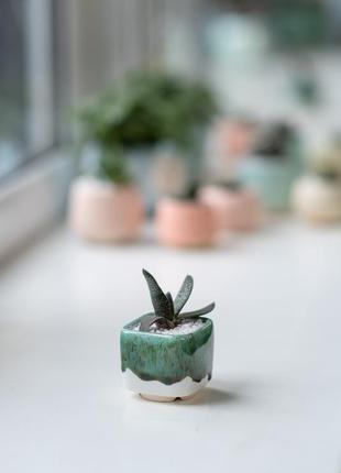 Набір з трьох керамічних горщиків для кактусів, сукулентів, колекція смарагд2 фото
