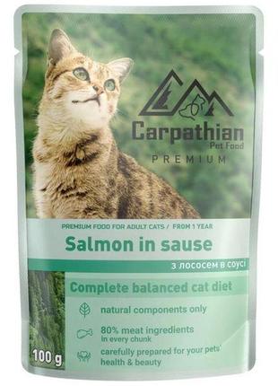 Carruceian вологий корм для кішок із лососем у соусі 100 г