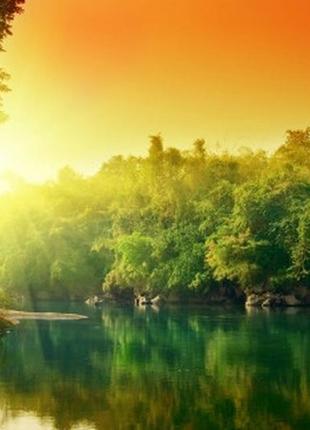 Фотошпалери "захід сонця над лісом" - будь-який розмір! читаємо опис!