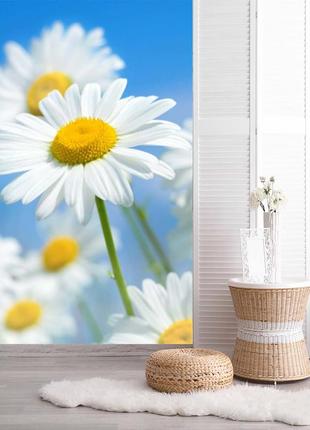 Фото шпалери "ромашки 6" - будь-який розмір! читаємо опис!