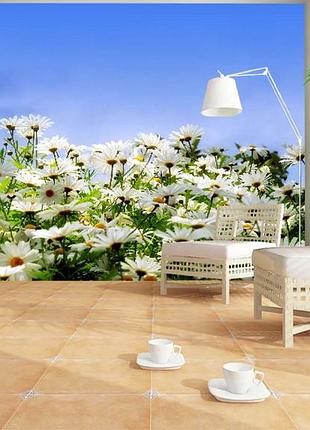 Фото шпалери "ромашки на блакитному тлі" - будь-який розмір! читаємо опис!