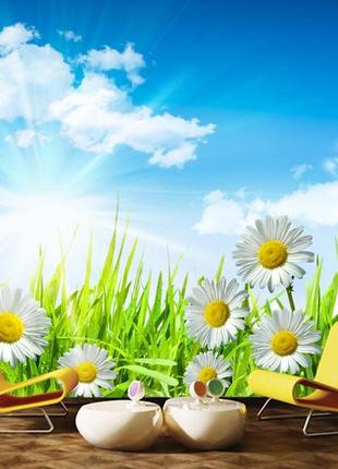 Фото обои "ромашки в траве" - любой размер! читаем описание!