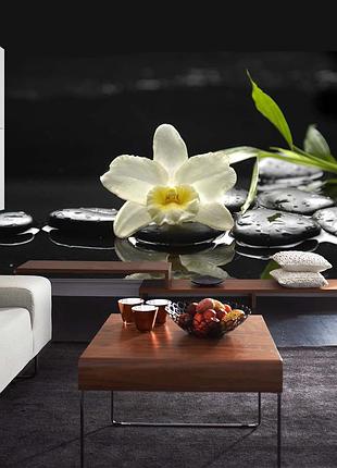 Фото шпалери "біла орхідея на каменях" - будь-який розмір! читаємо опис!