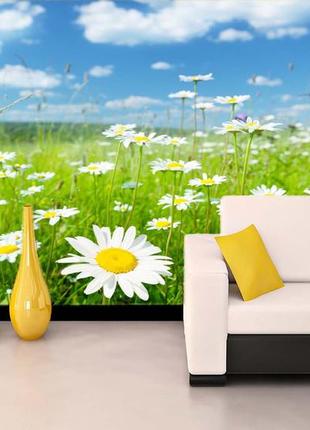 Фото обои "ромашки прованса" - любой размер! читаем описание!