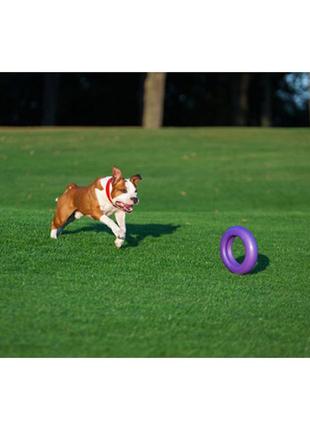 Тренувальний снаряд для собак puller мaxi, (діаметр 30см)7 фото