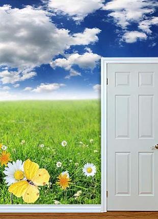 Фото обои "поле с цветами, ромашками" - любой размер! читаем описание!