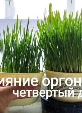 Оргонит диск. оздоровление пищи, воды. гармонизация пространства. сувенир. подарок. декор5 фото