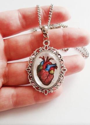 Кулон анатомическое сердце, серьги анатомическое сердце, подарок кардиологу, подарок хирургу1 фото
