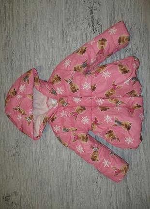 Курточка демісезонна