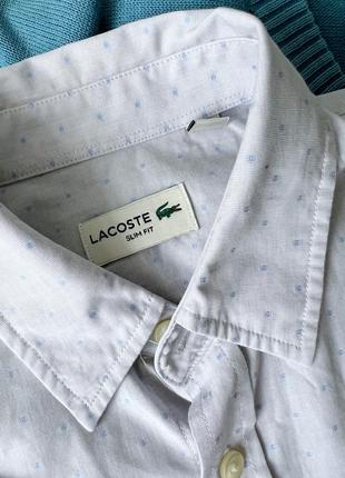 Коттоновый свет серая с голубыми точками рубашка от lacoste3 фото