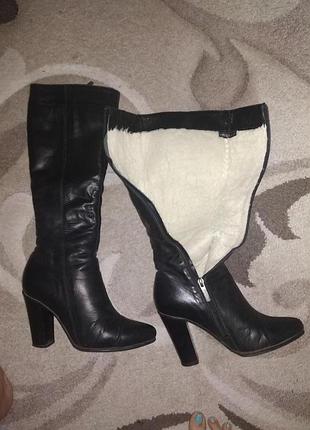 Чоботи зимові шкіра овчина 38 розмір