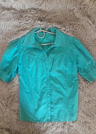 Фірмова блуза блузка коттоновая на гудзиках