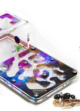 Мурашина ферма smart "зоряне небо" комплект для новачка