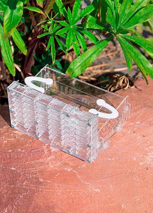 Вертикальна мурашина ферма будинок мессора комплект для новачка