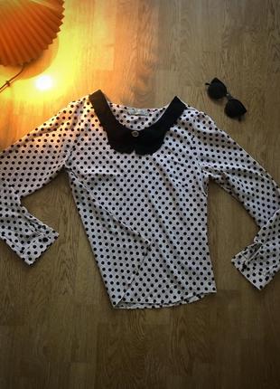 Стильна сорочка в горошок, базова блуза3 фото