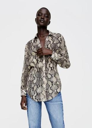 Блуза принт питона