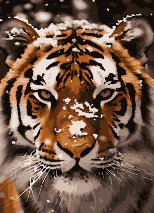 Картини за номерами тигр 50*60 см
