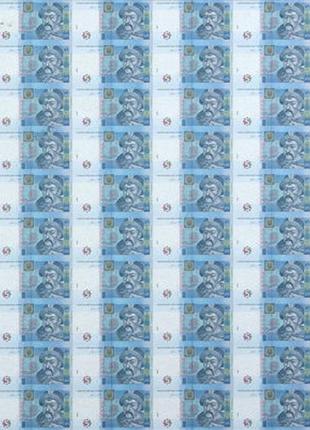 Нерозрізаний лист із банкнот нбу номіналом 5 грн 60 шт. колекційні листи банкнот. нерозрізані гривні